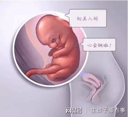 诊疗环境